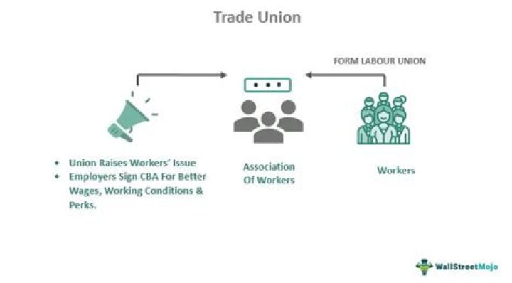 What is trade unionism definition?