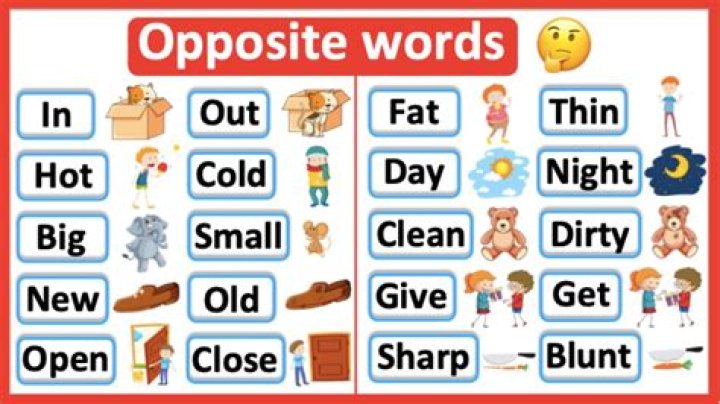 Whats the opposite of typecast?